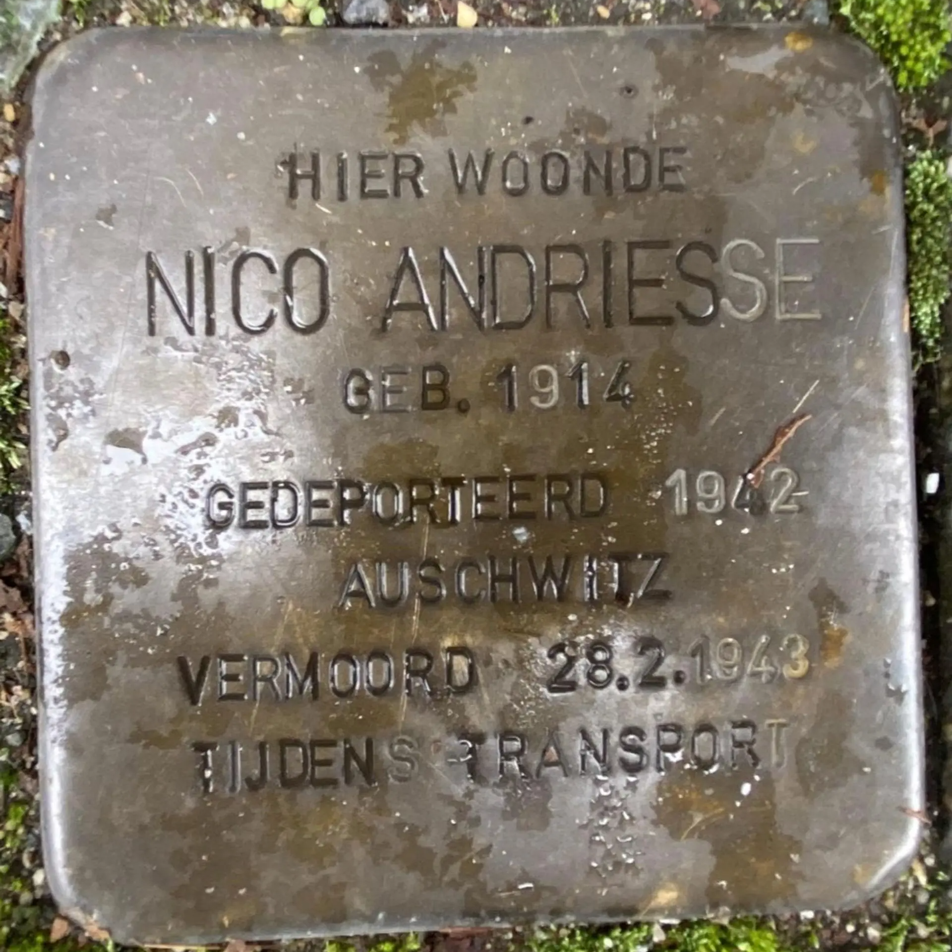 Struikelsteen voor Nico Andriesse