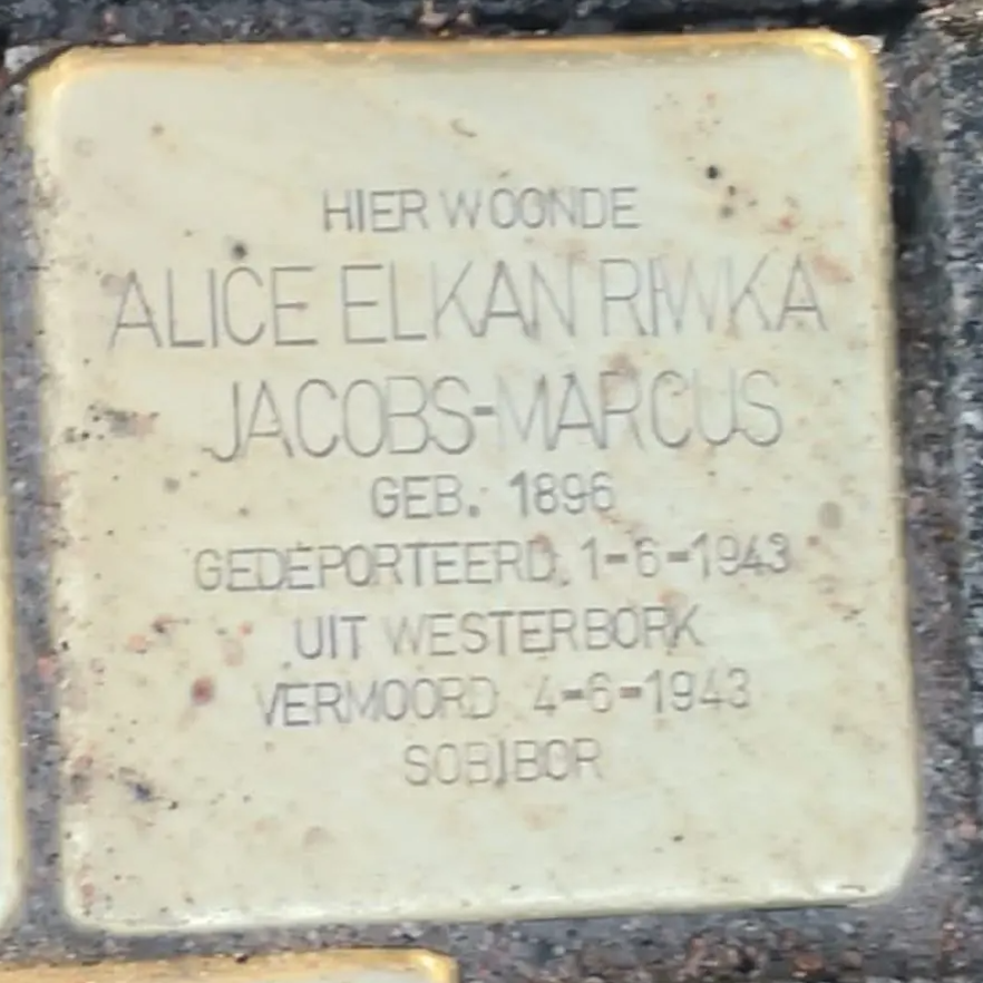 Struikelsteen voor Alice Elkan Riwka Jacobs-Marcus