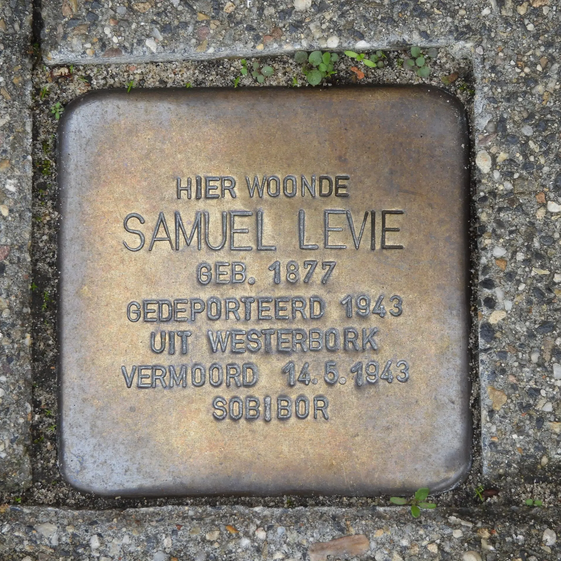 Struikelsteen voor Samuel Levie