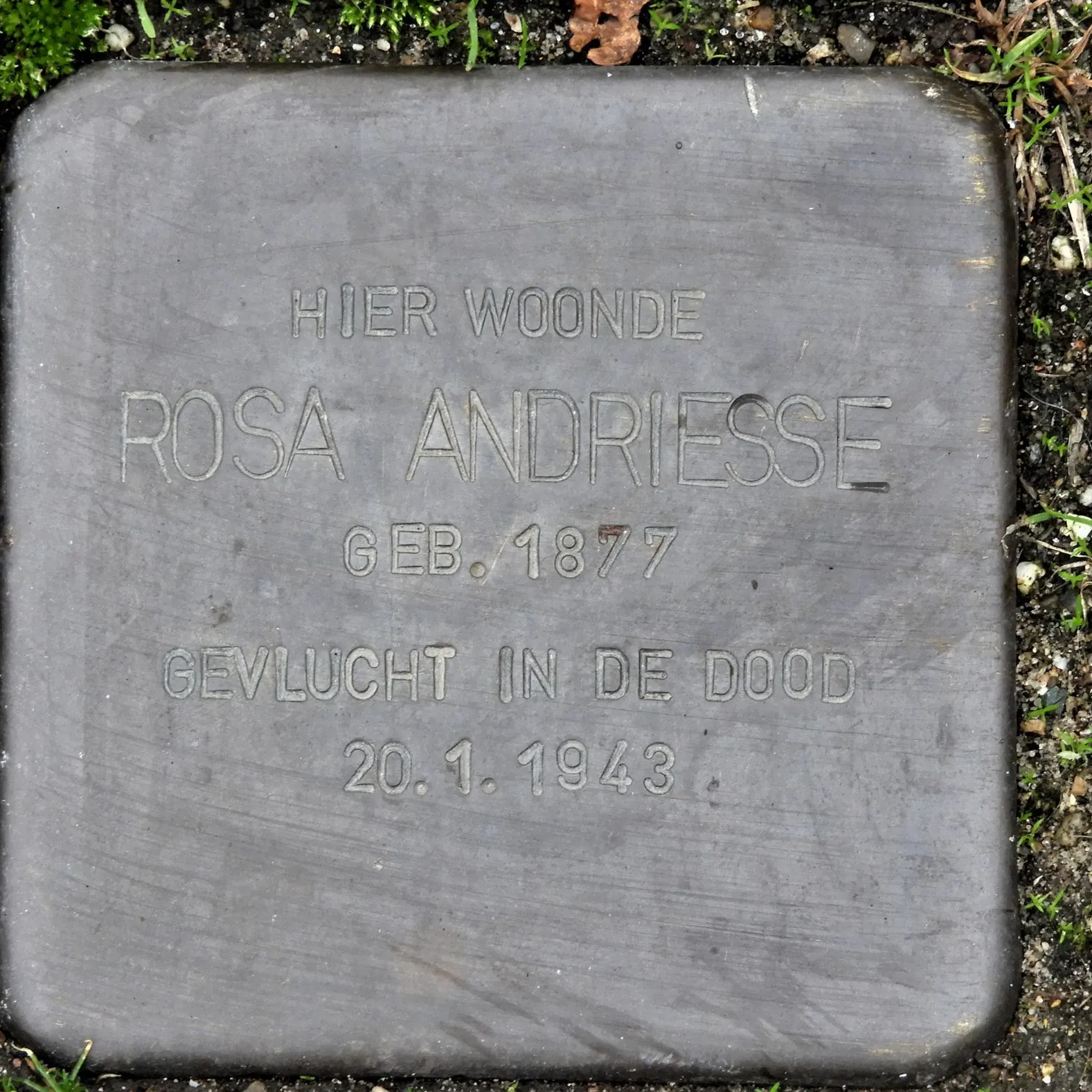 Struikelsteen voor Rosa Elias-Andriesse