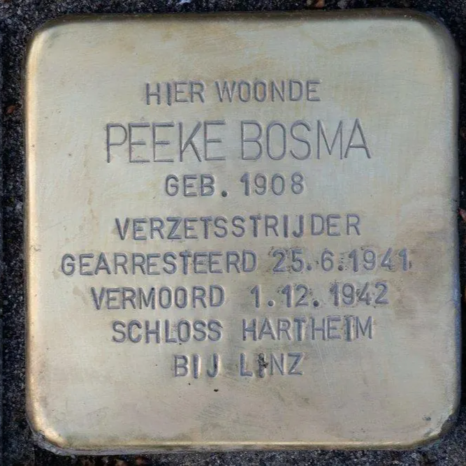 Struikelsteen voor Peeke Bosma
