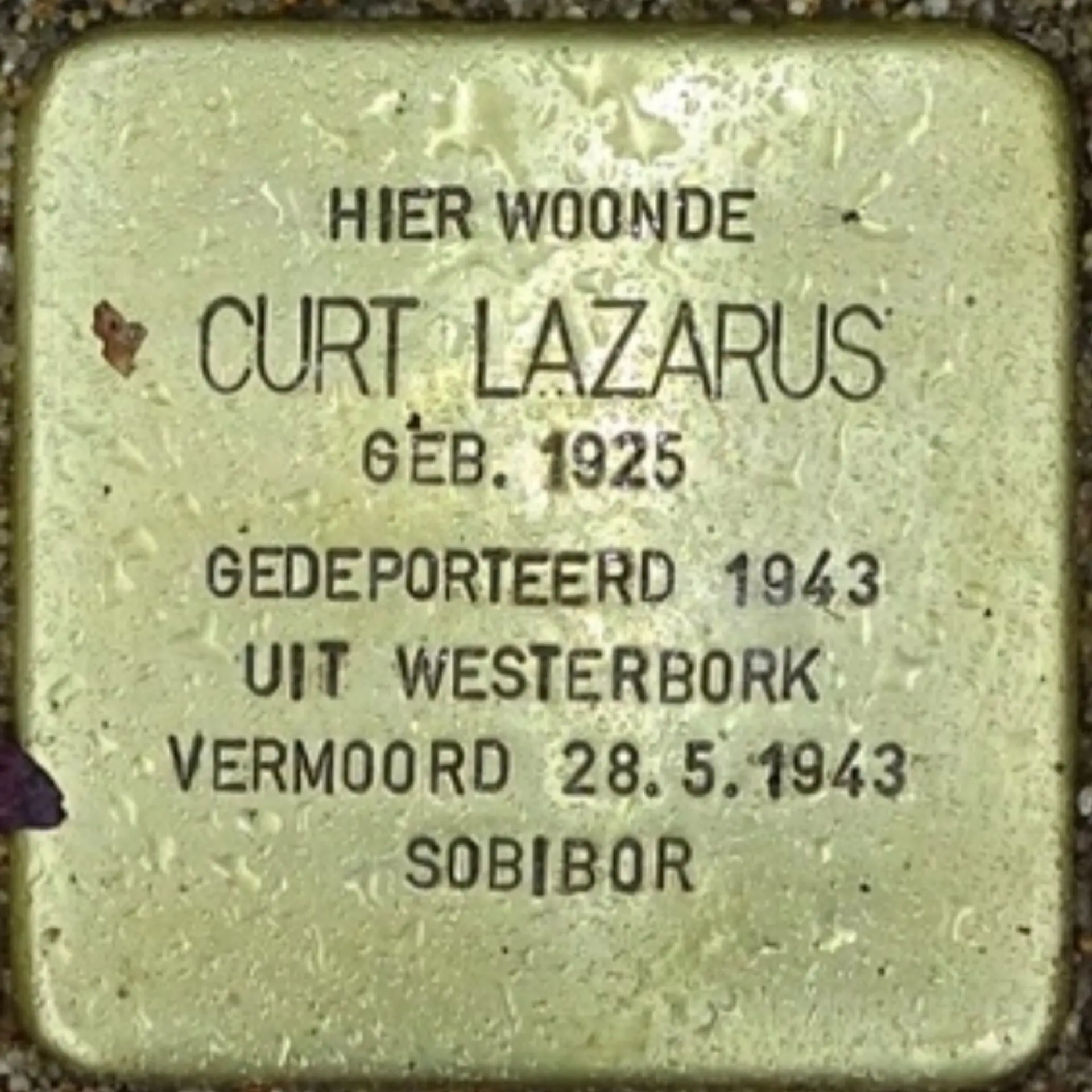 Struikelsteen voor Curt Lazarus