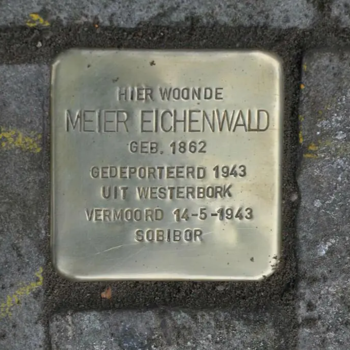 Struikelsteen voor Meier Eichenwald