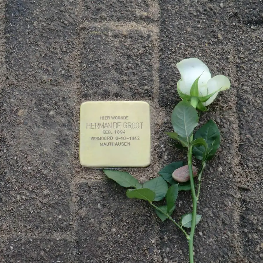 Struikelsteen voor Herman de Groot