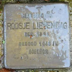 Struikelsteen voor Roosje Lievendag