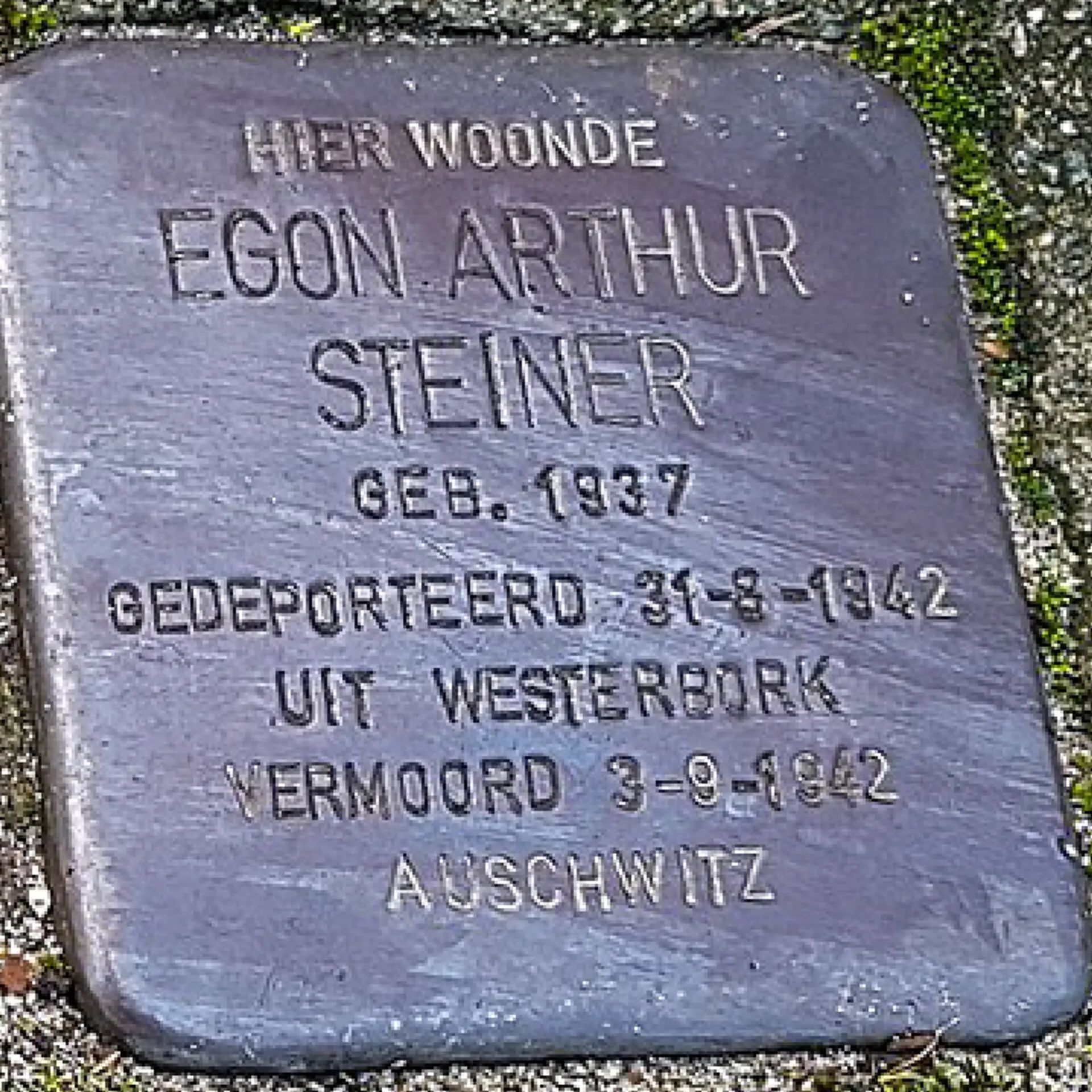 Struikelsteen voor Egon Steiner