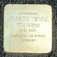Struikelsteen voor Henriette Dientje ten Brink