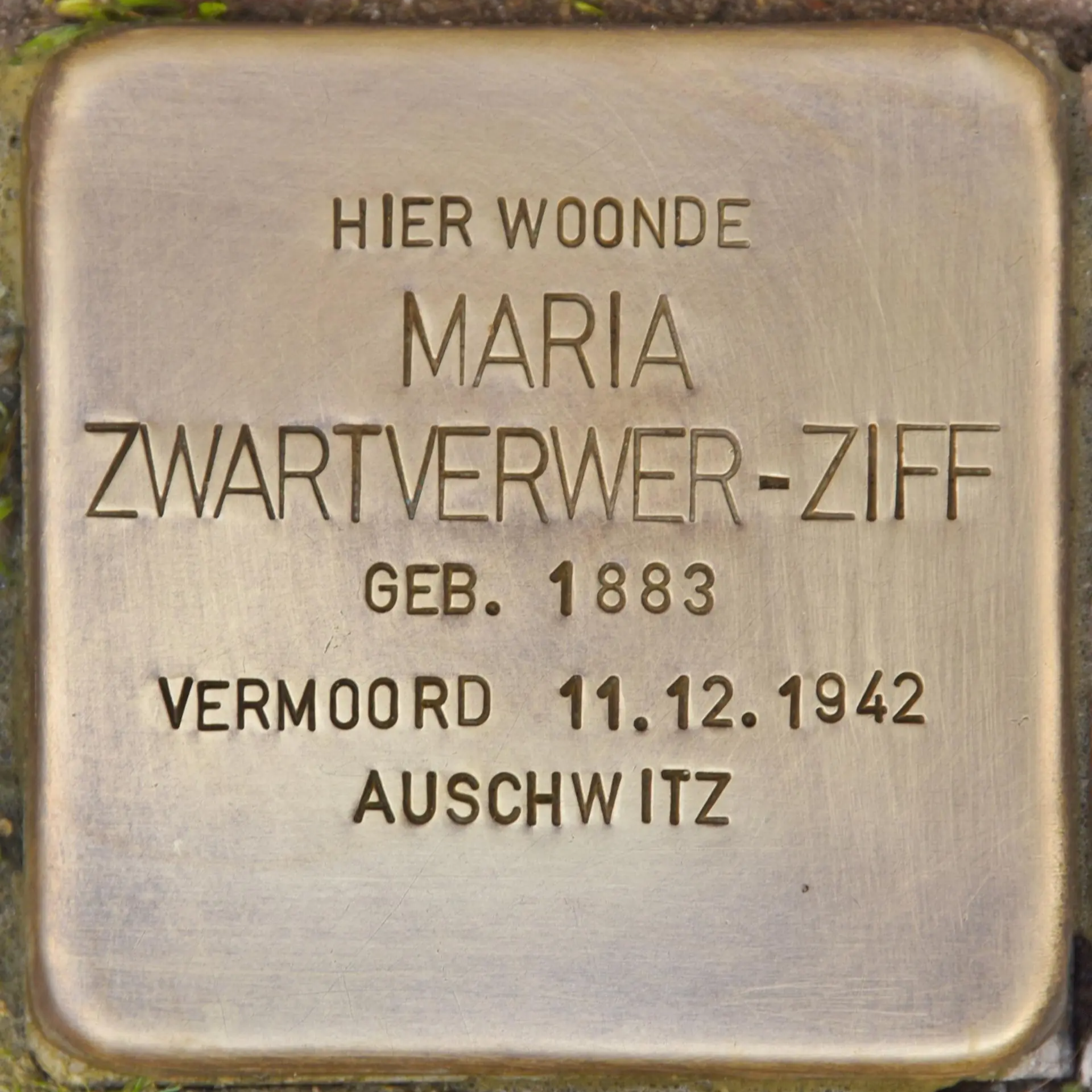 Struikelsteen voor Maria Zwartverwer-Ziff