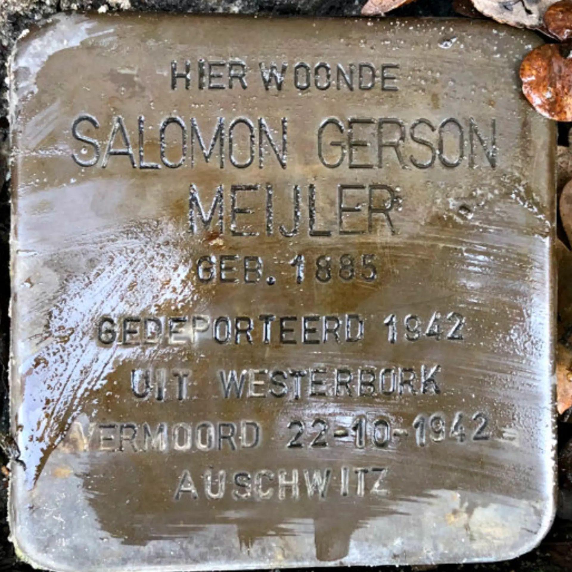 Struikelsteen voor Salomon Gerson Meijler