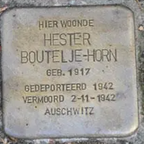Struikelsteen voor Hester Boutelje-Horn