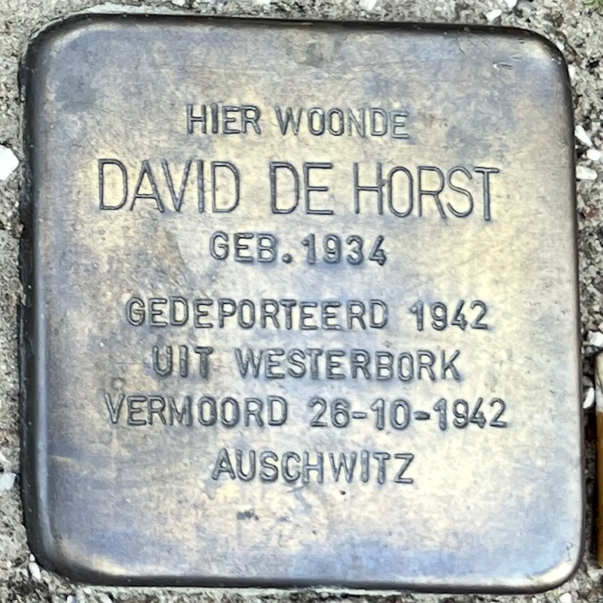Struikelsteen voor David de Horst