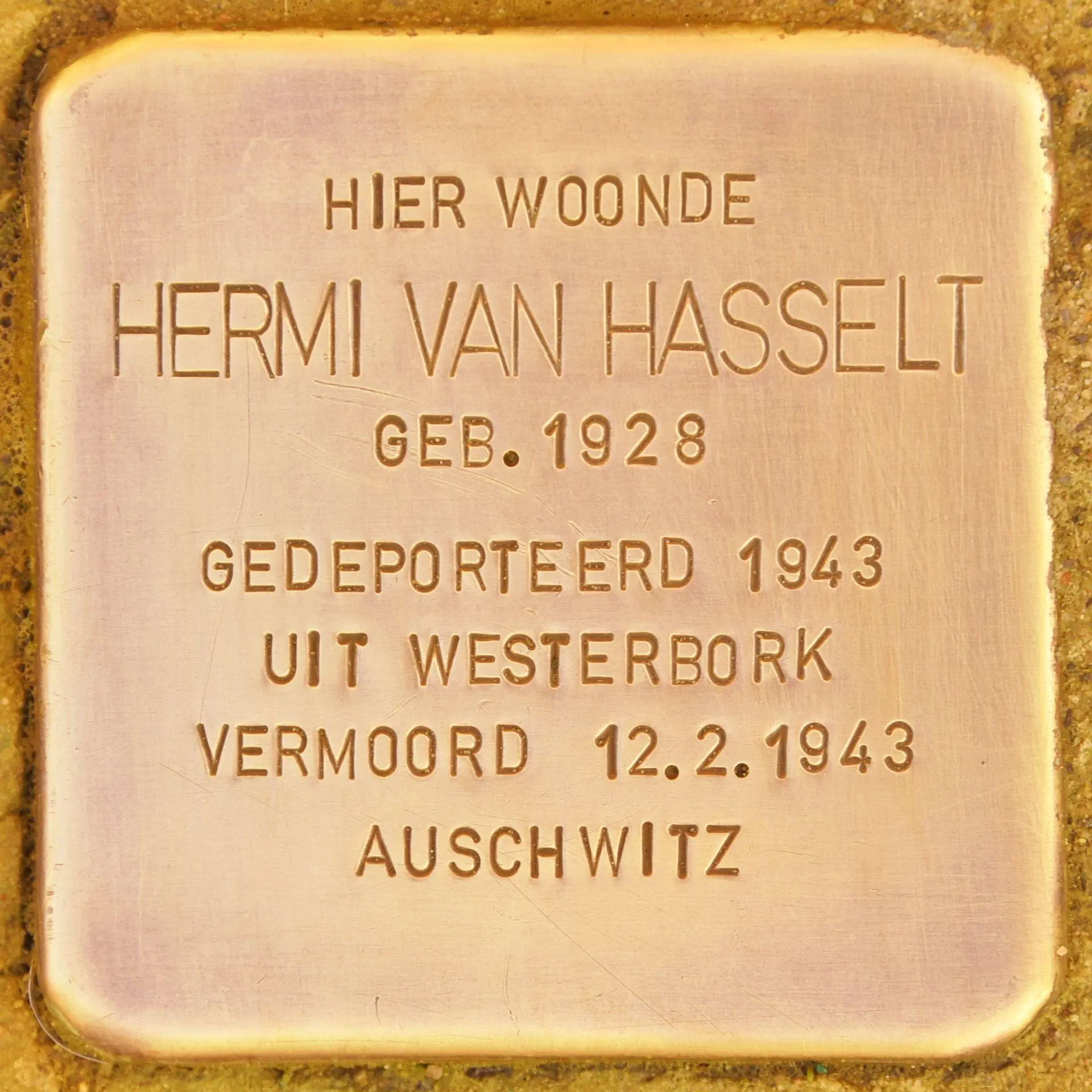 Struikelsteen voor Hermi Sophia Kaatje van Hasselt