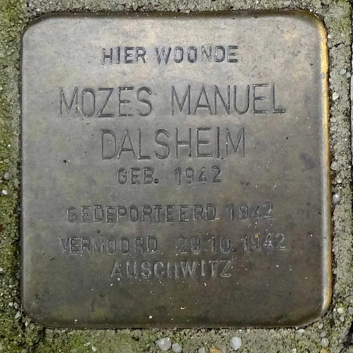 Struikelsteen voor Mozes Manuel Dalsheim