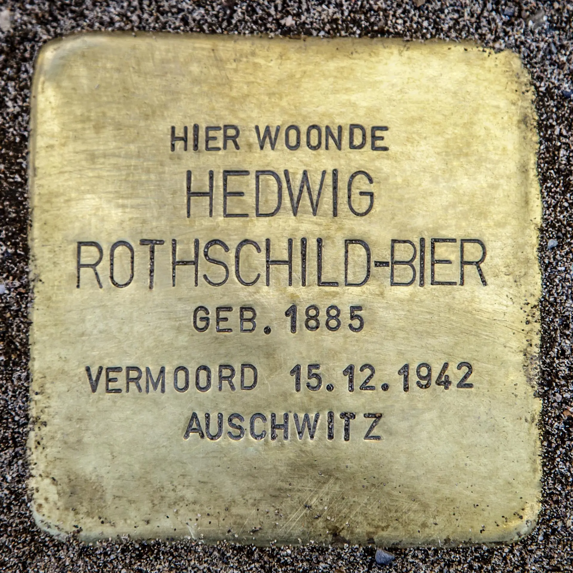 Struikelsteen voor Hedwig Rothschild-Bier