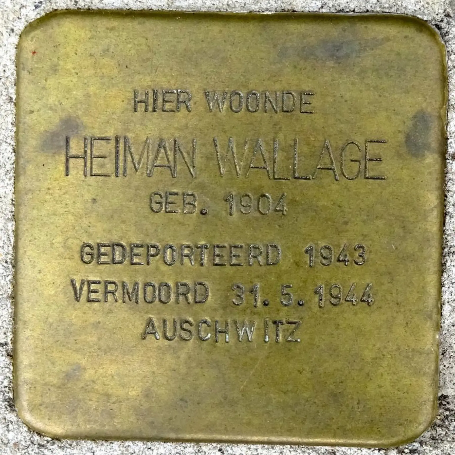 Struikelsteen voor Hayo Wallage