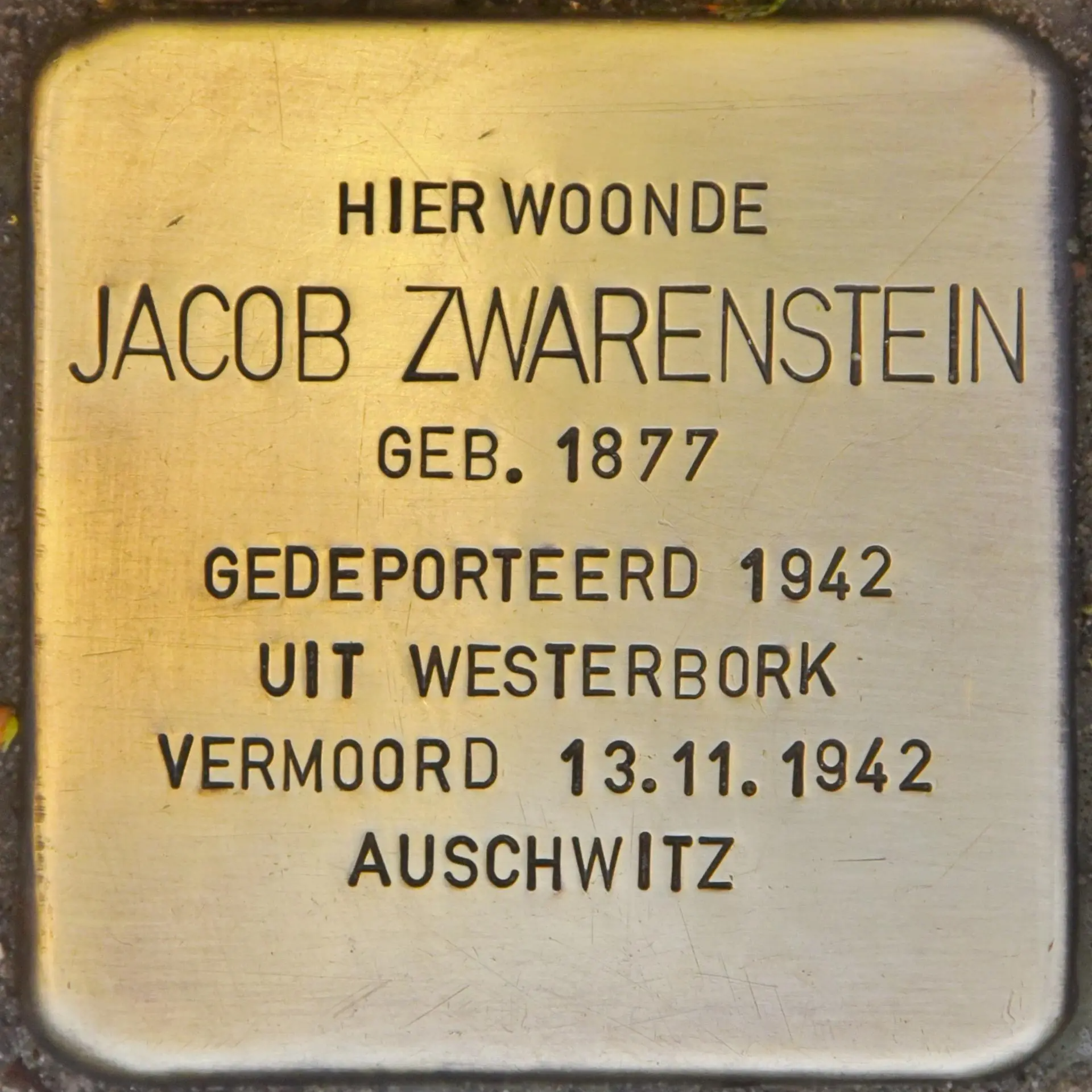 Struikelsteen voor Jacob Zwarenstein