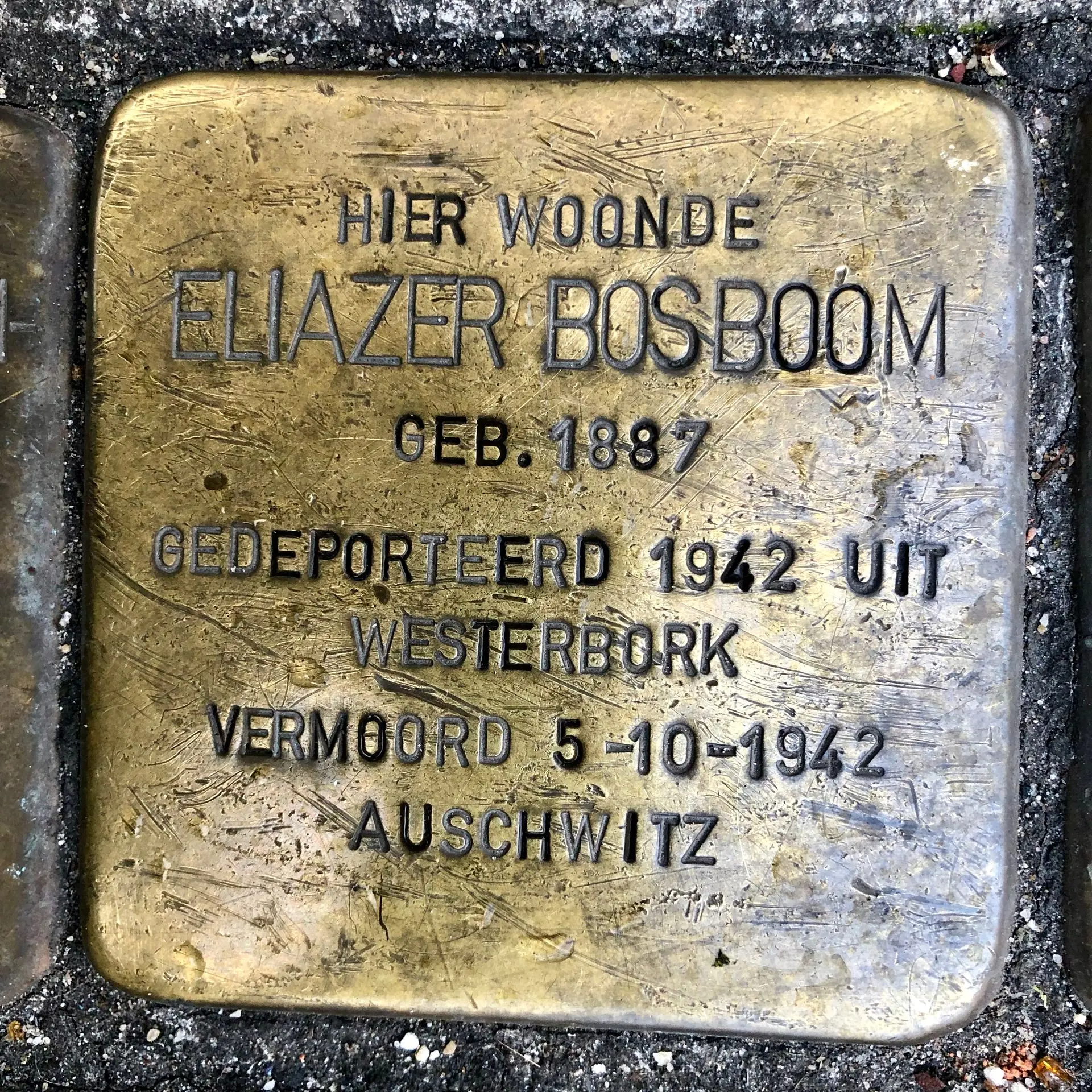 Placeholder