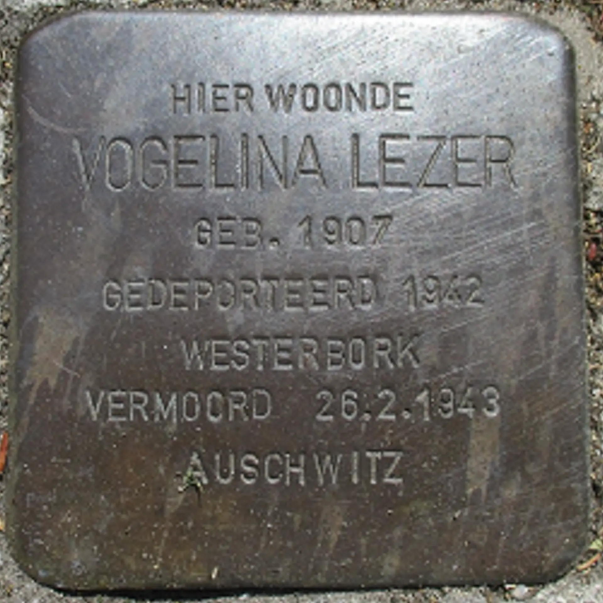 Struikelsteen voor Vogelina Lezer