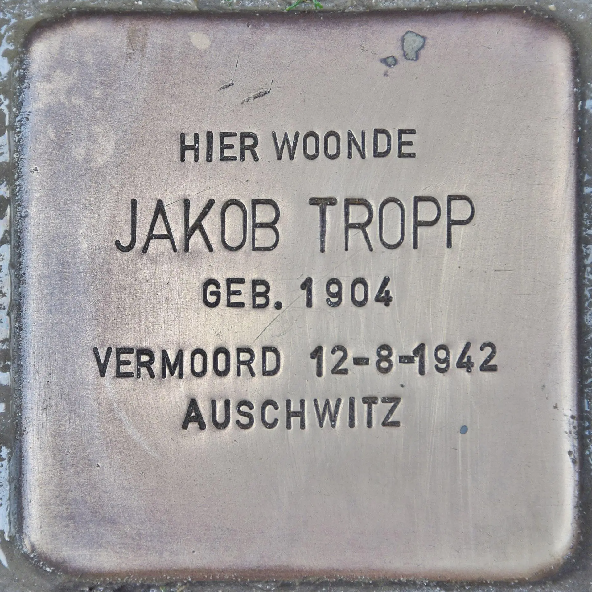 Struikelsteen voor Jakob Tropp