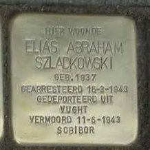 Struikelsteen voor Elias Abraham Szladkowski