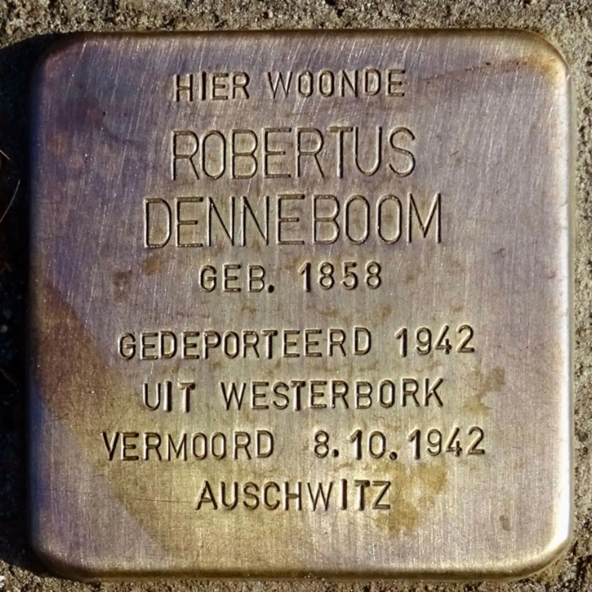 Struikelsteen voor Robertus Denneboom