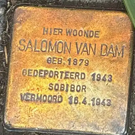 Struikelsteen voor Salomon van Dam