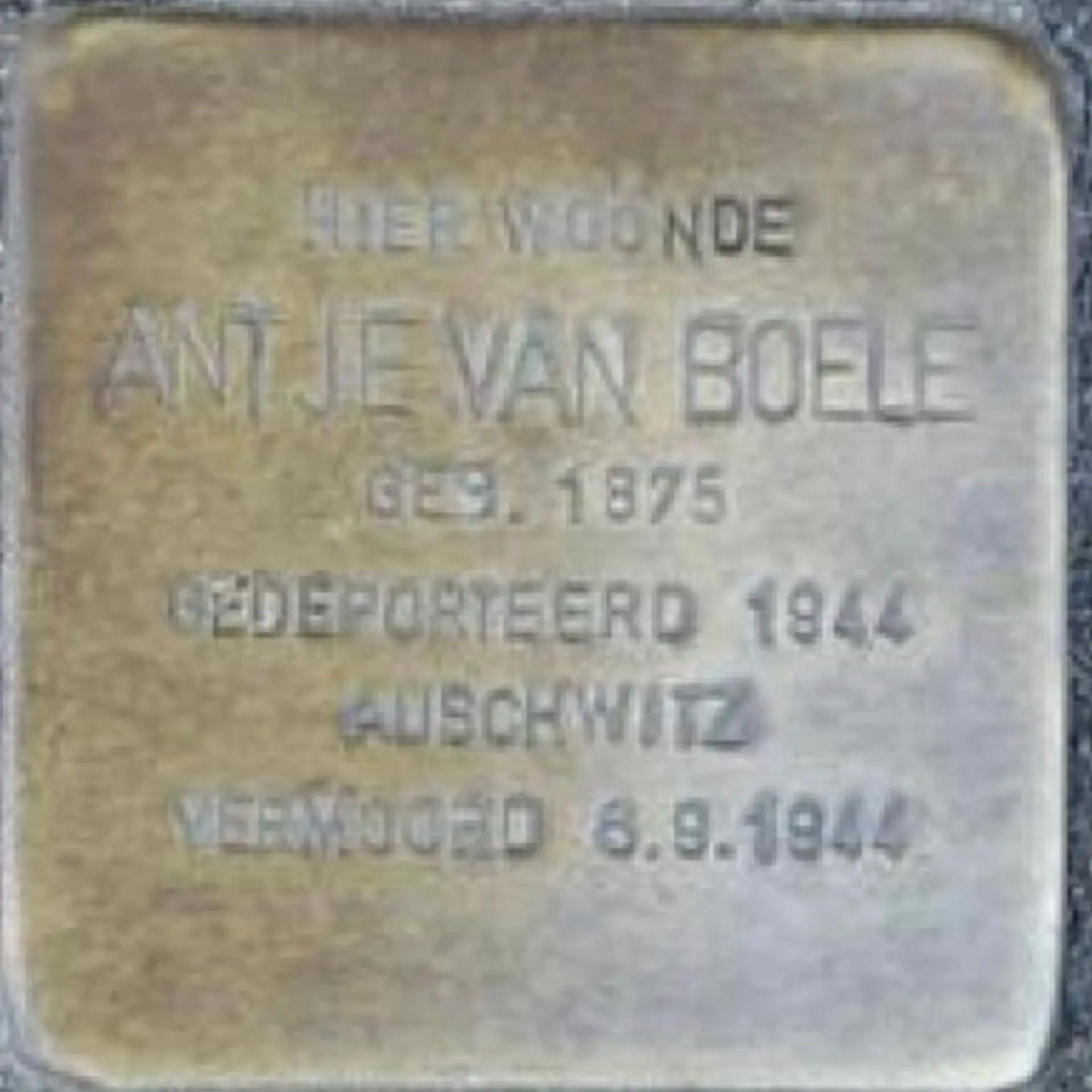 Struikelsteen voor Antje van Boele