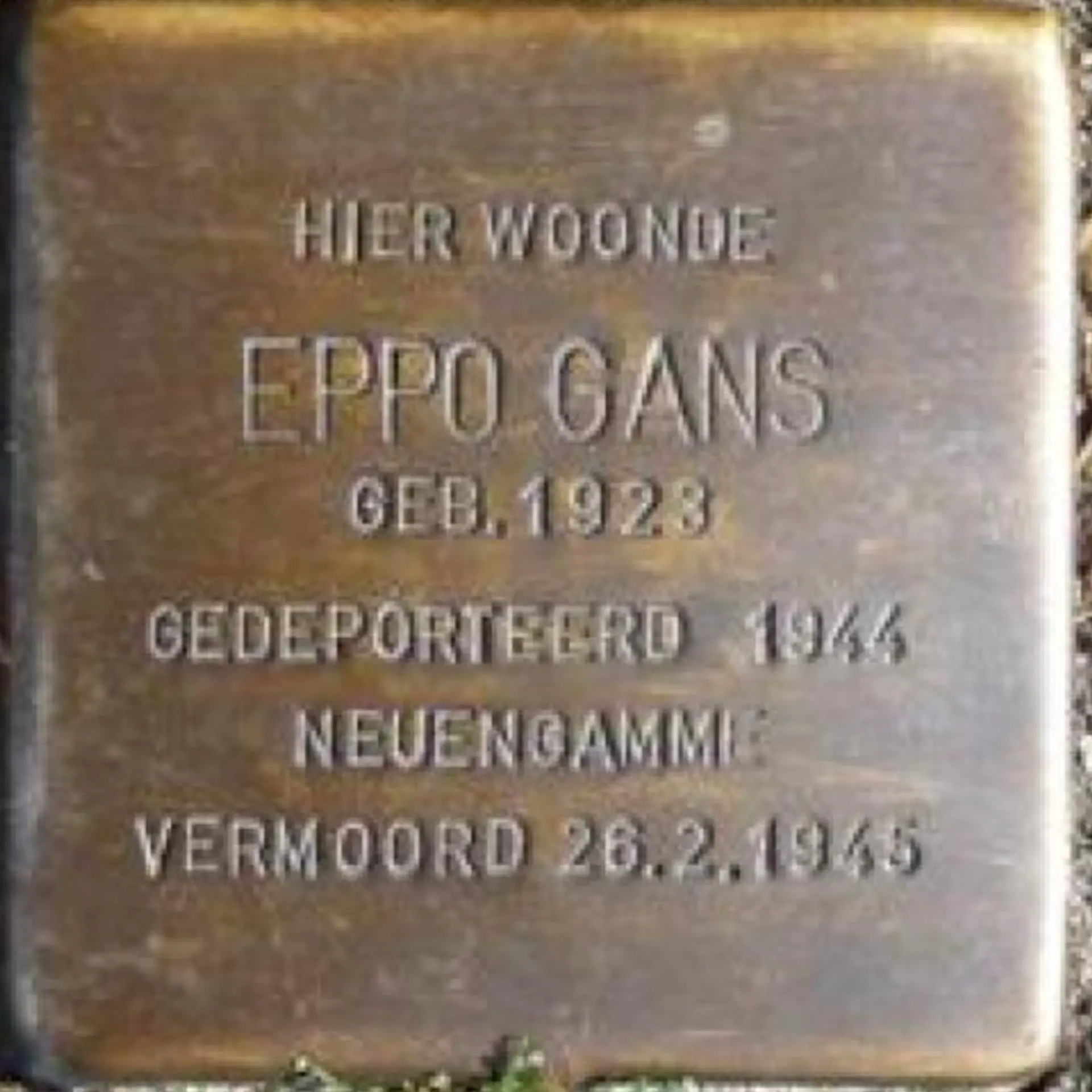 Struikelsteen voor Eppo Gans