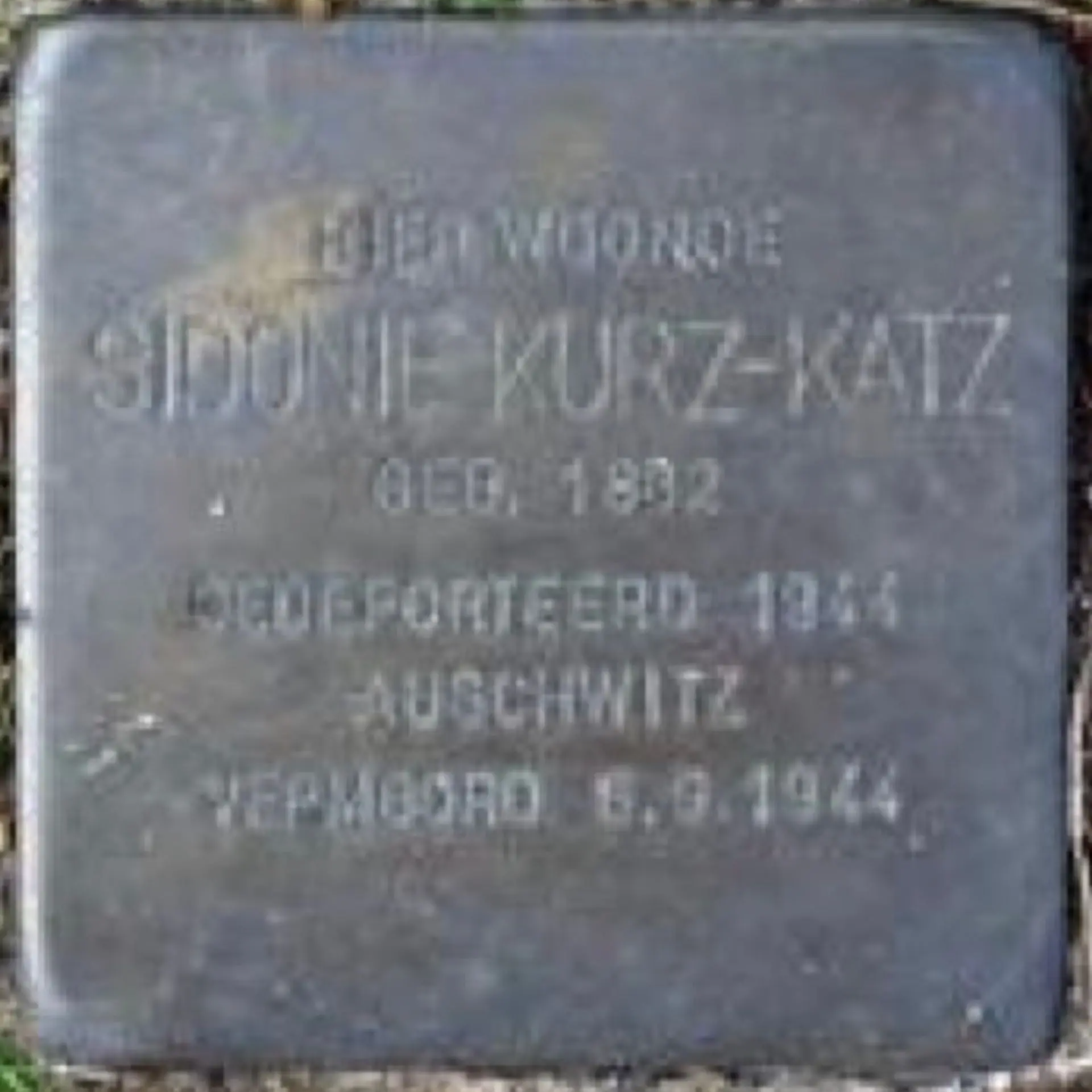 Struikelsteen voor Sidonie Kurz-Katz