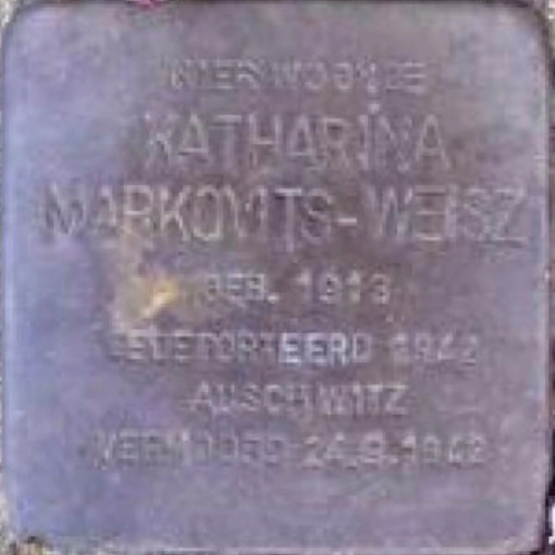 Struikelsteen voor Katharina Markovits-Weisz