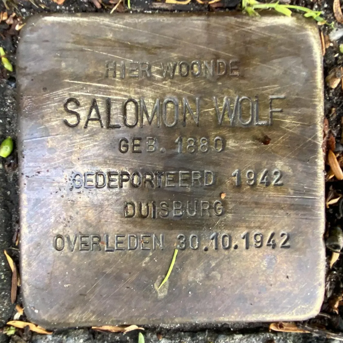 Struikelsteen voor Salomon Wolf