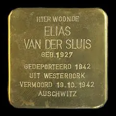 Struikelsteen voor Elias van der Sluis