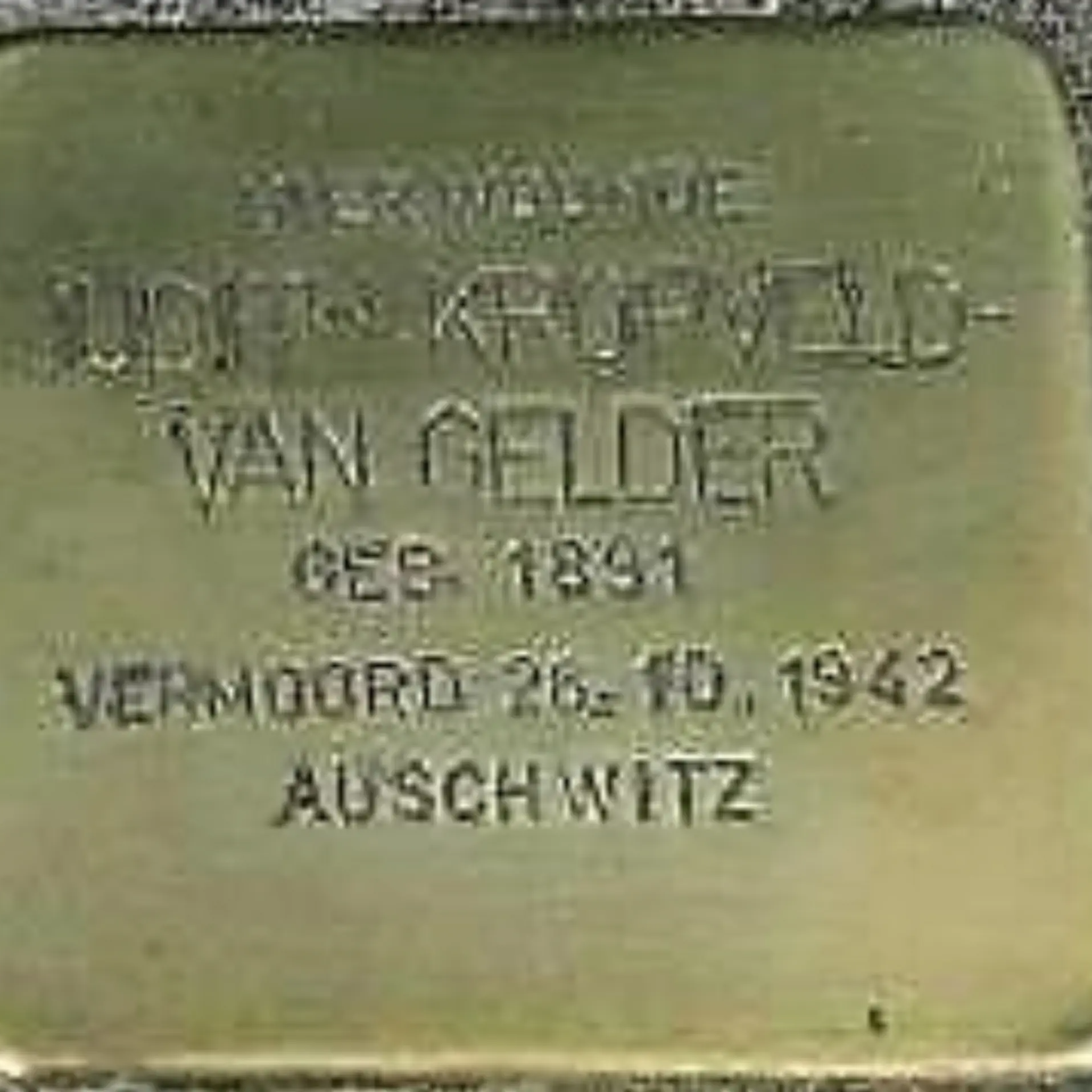 Placeholder