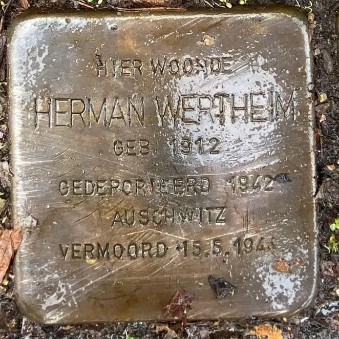 Struikelsteen voor Herman Wertheim
