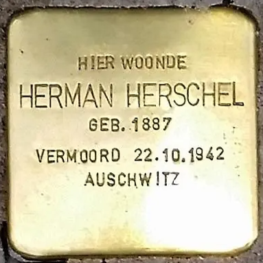 Struikelsteen voor Herman Herschel