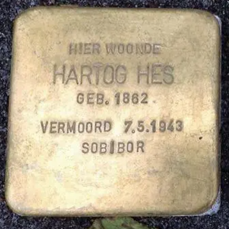 Struikelsteen voor Hartog Hes