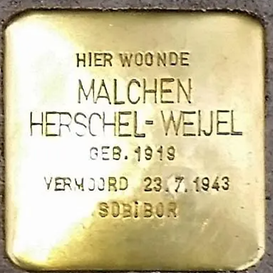 Struikelsteen voor Malchen Herschel-Weijel
