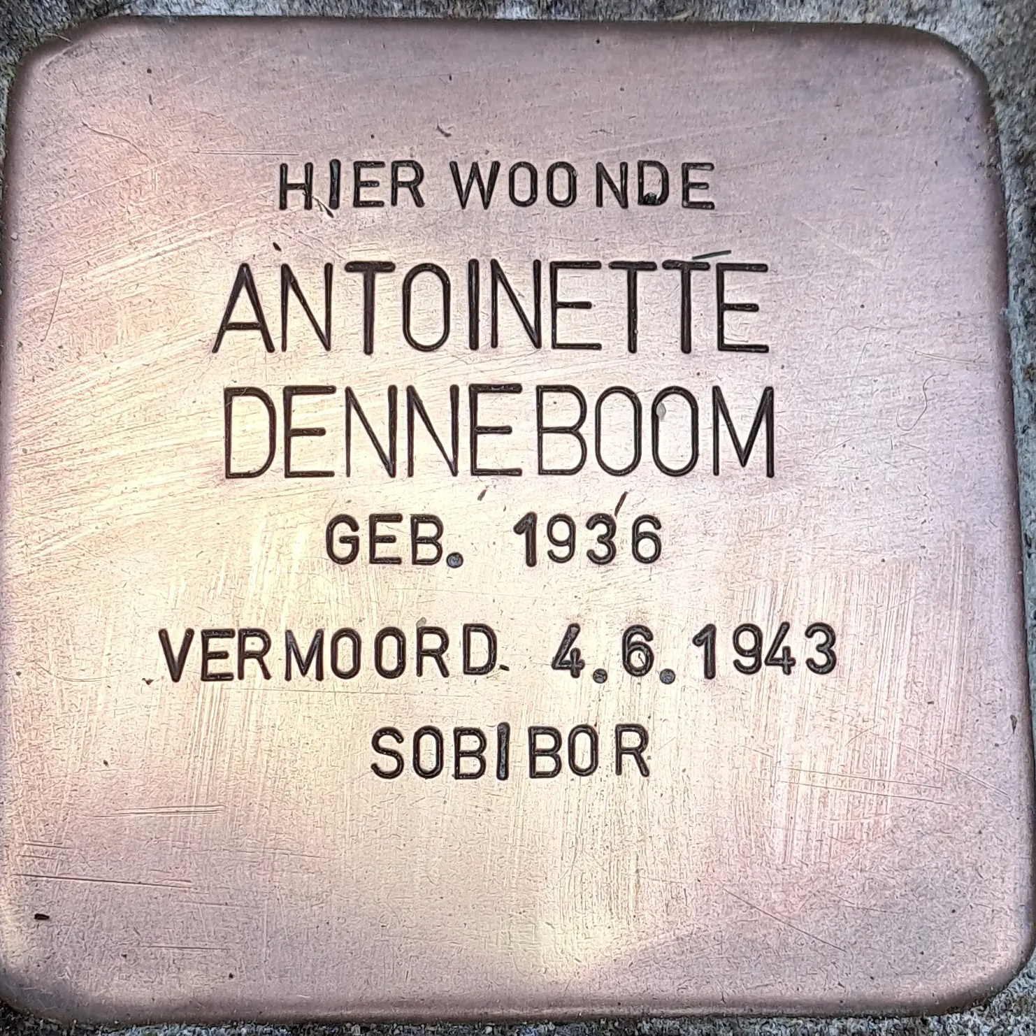 Struikelsteen voor Antoinette Denneboom