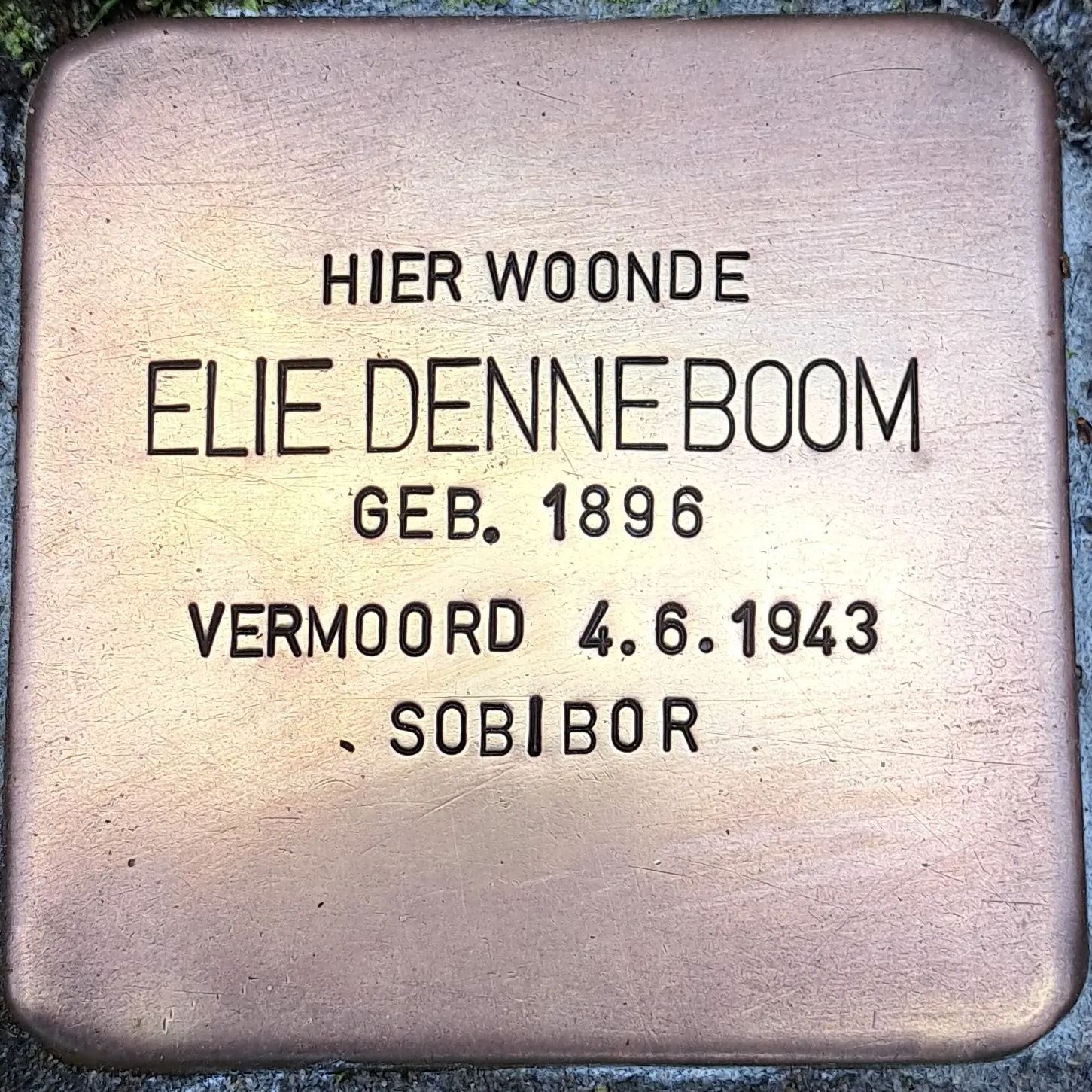 Struikelsteen voor Elie Denneboom