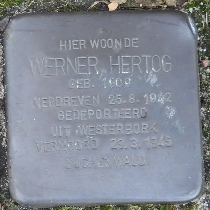 Struikelsteen voor Werner Hertog