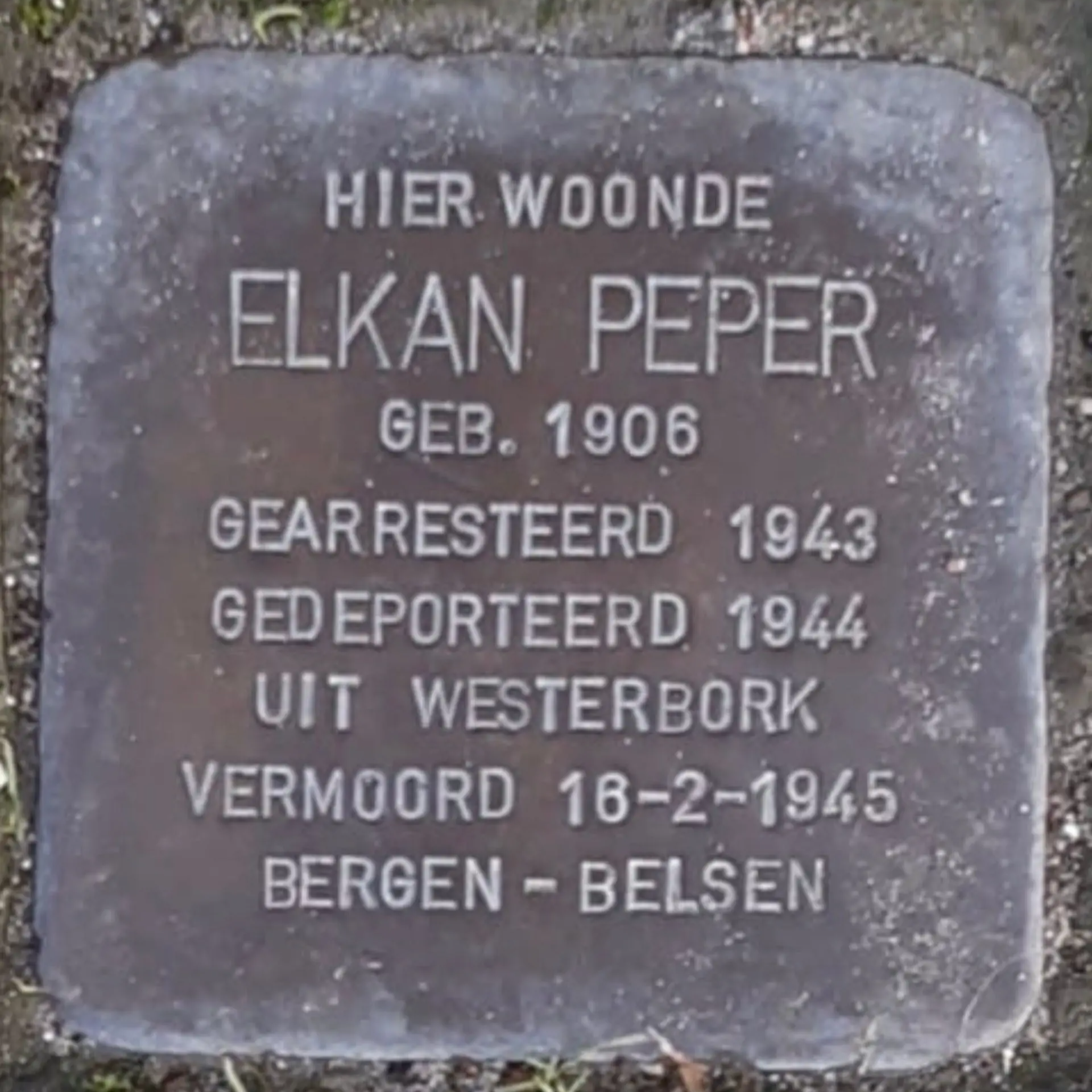 Struikelsteen voor Elkan Peper