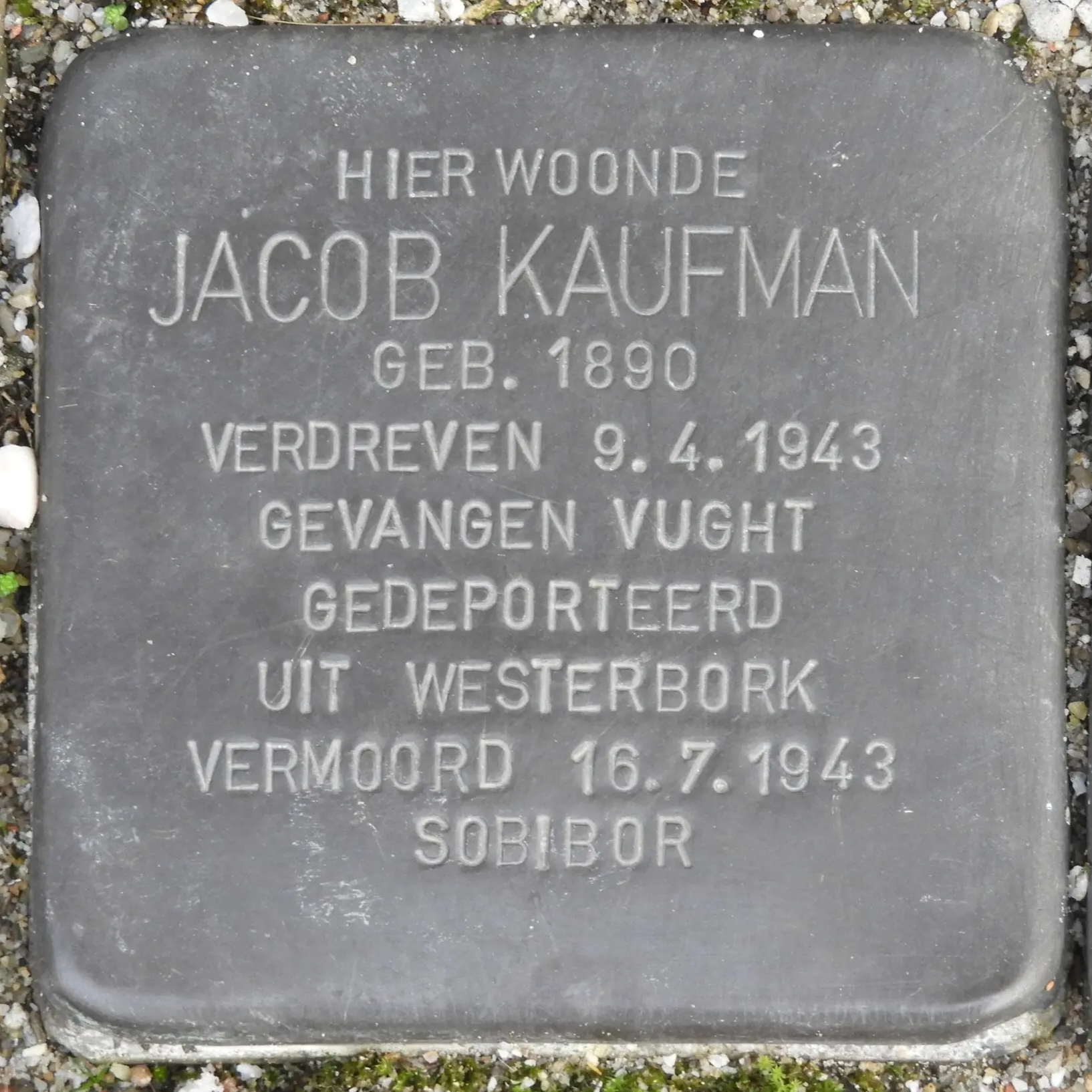 Struikelsteen voor Jacob Kaufman