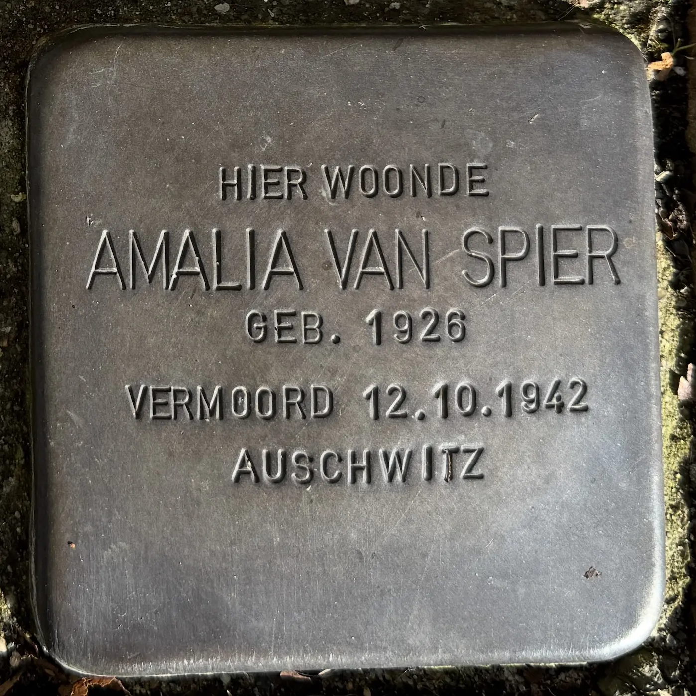Struikelsteen voor Amalia van Spier
