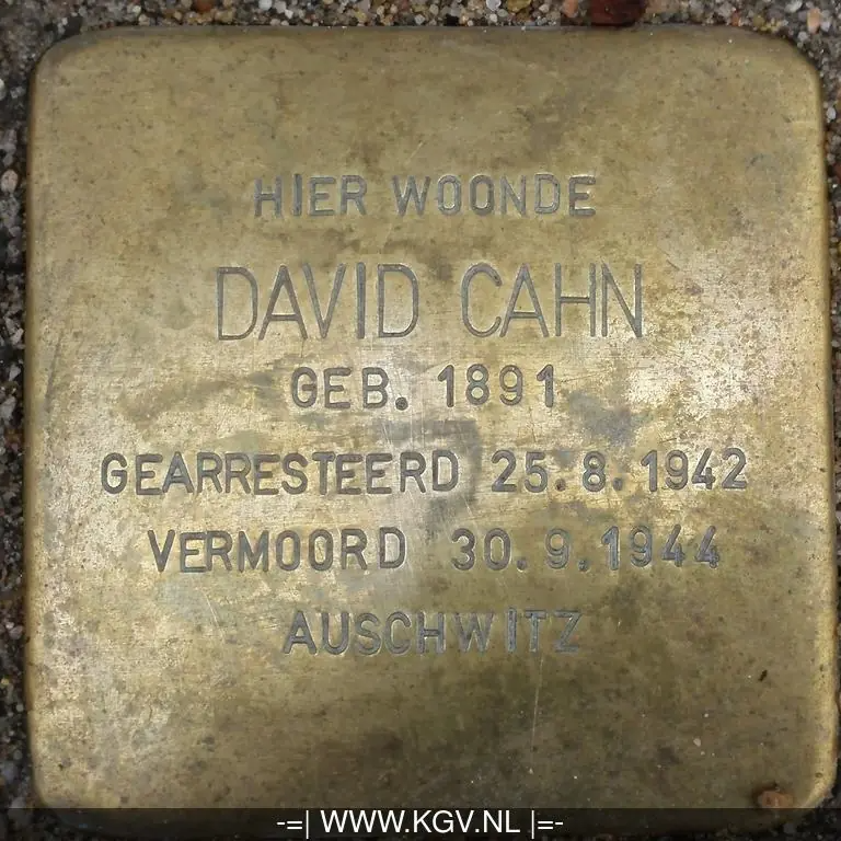 Struikelsteen voor David Cahn