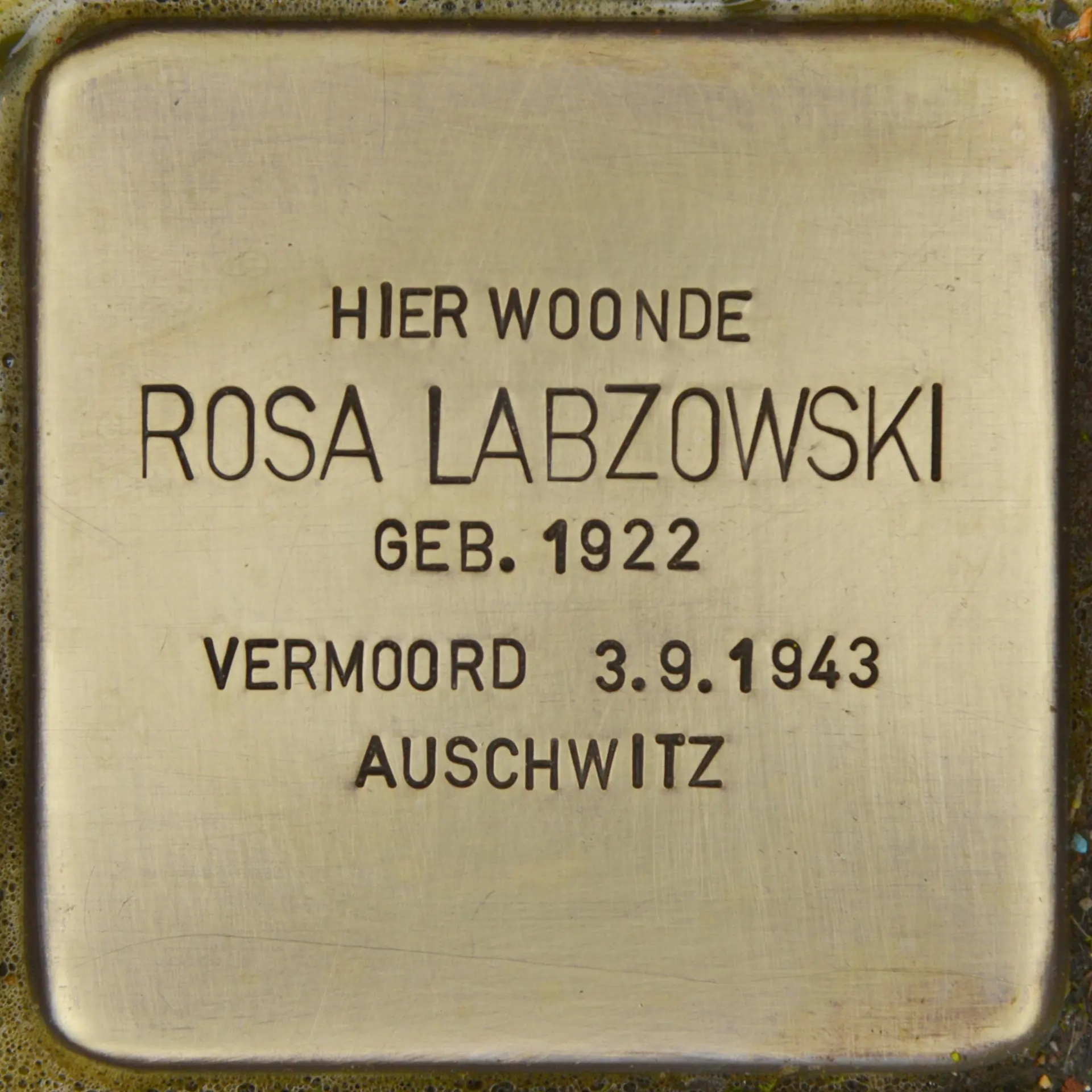 Struikelsteen voor Rosa Labzowski
