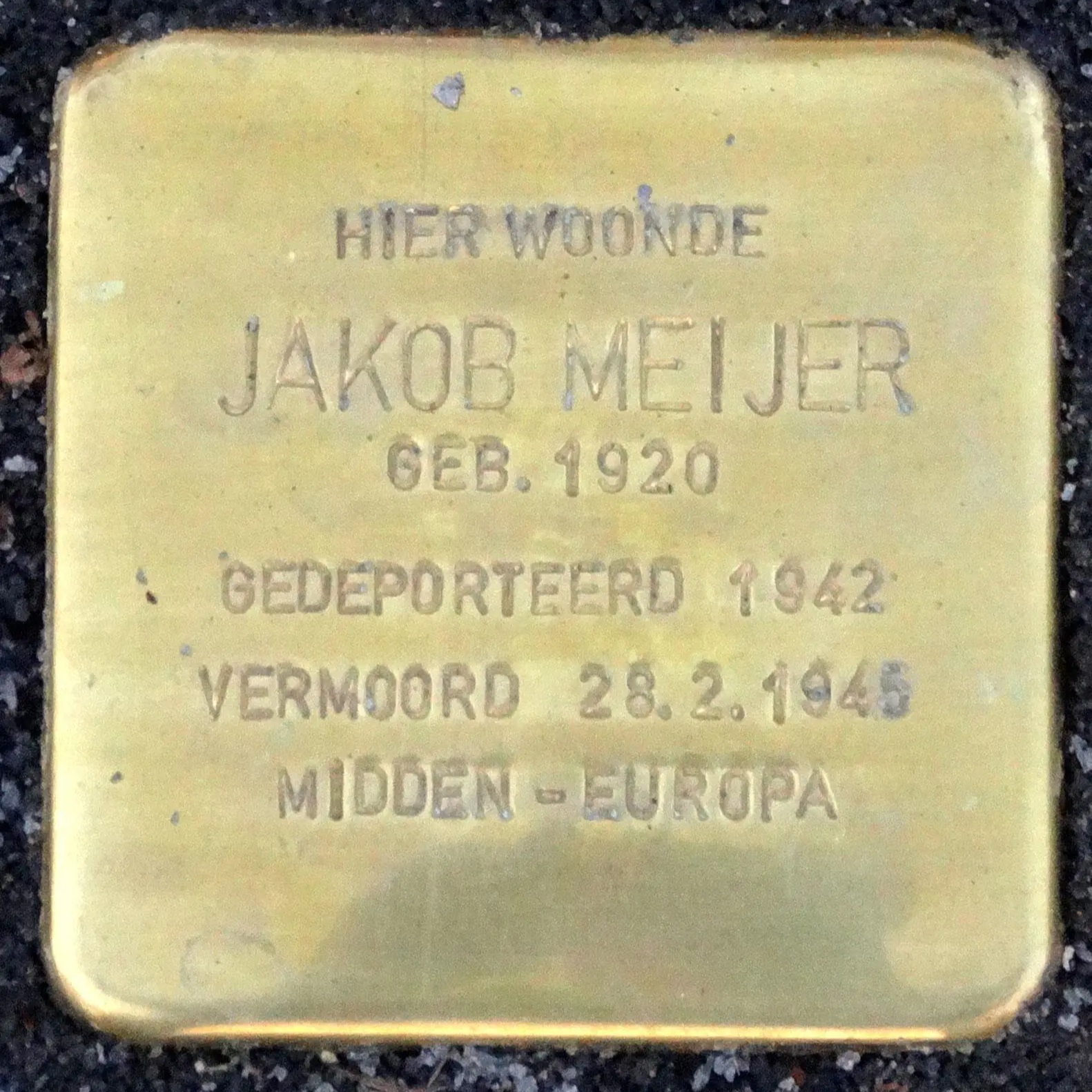 Placeholder