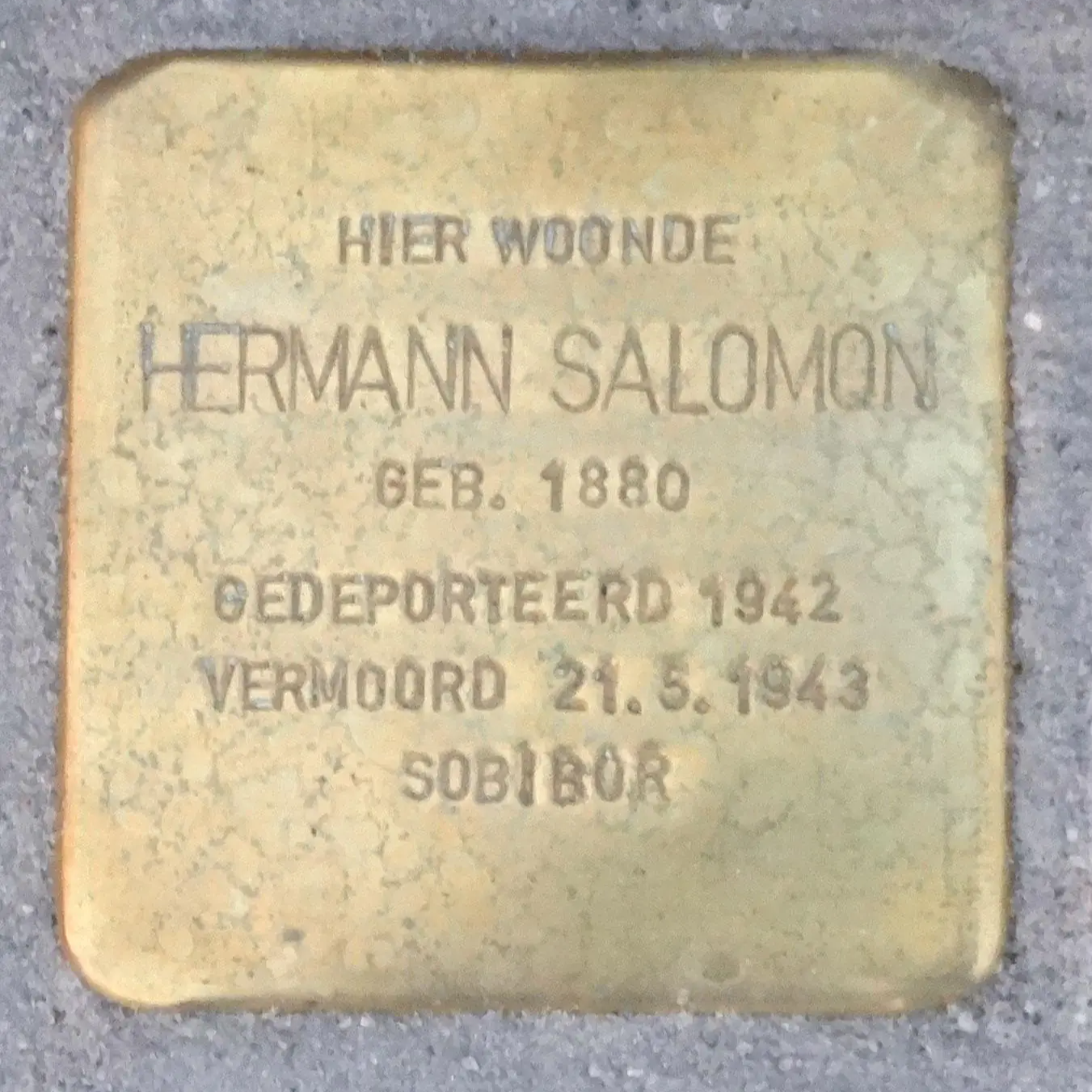 Struikelsteen voor Hermann Salomon