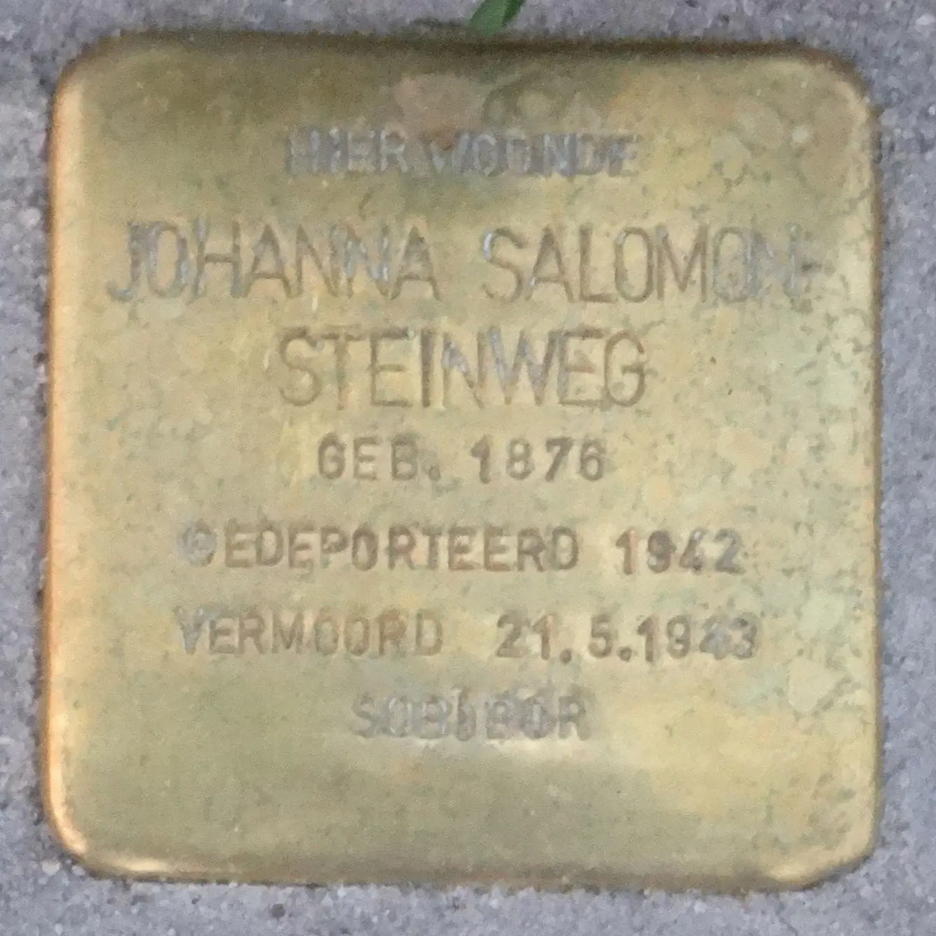 Struikelsteen voor Johanna Salomon-Steinweg