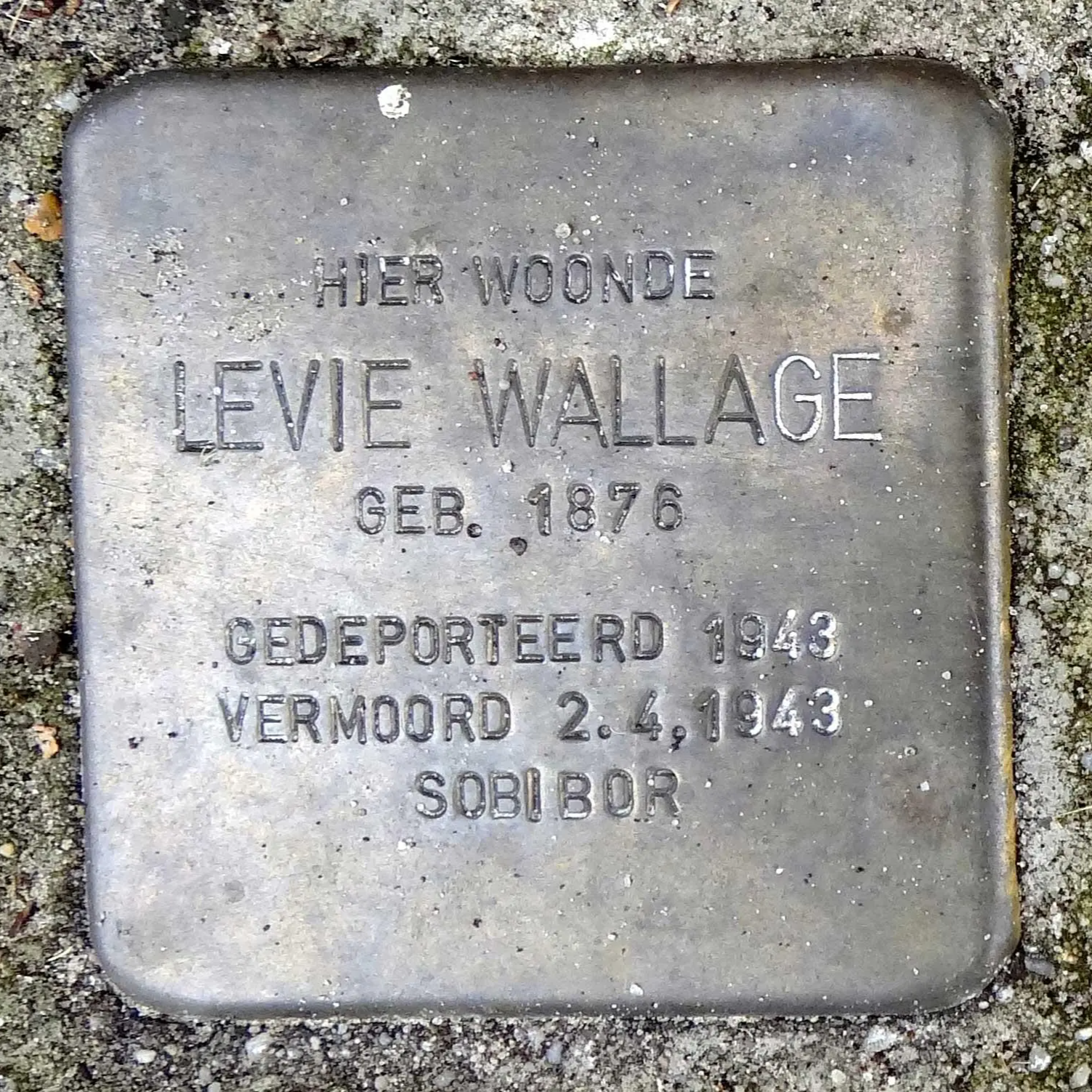 Struikelsteen voor Levie Wallage
