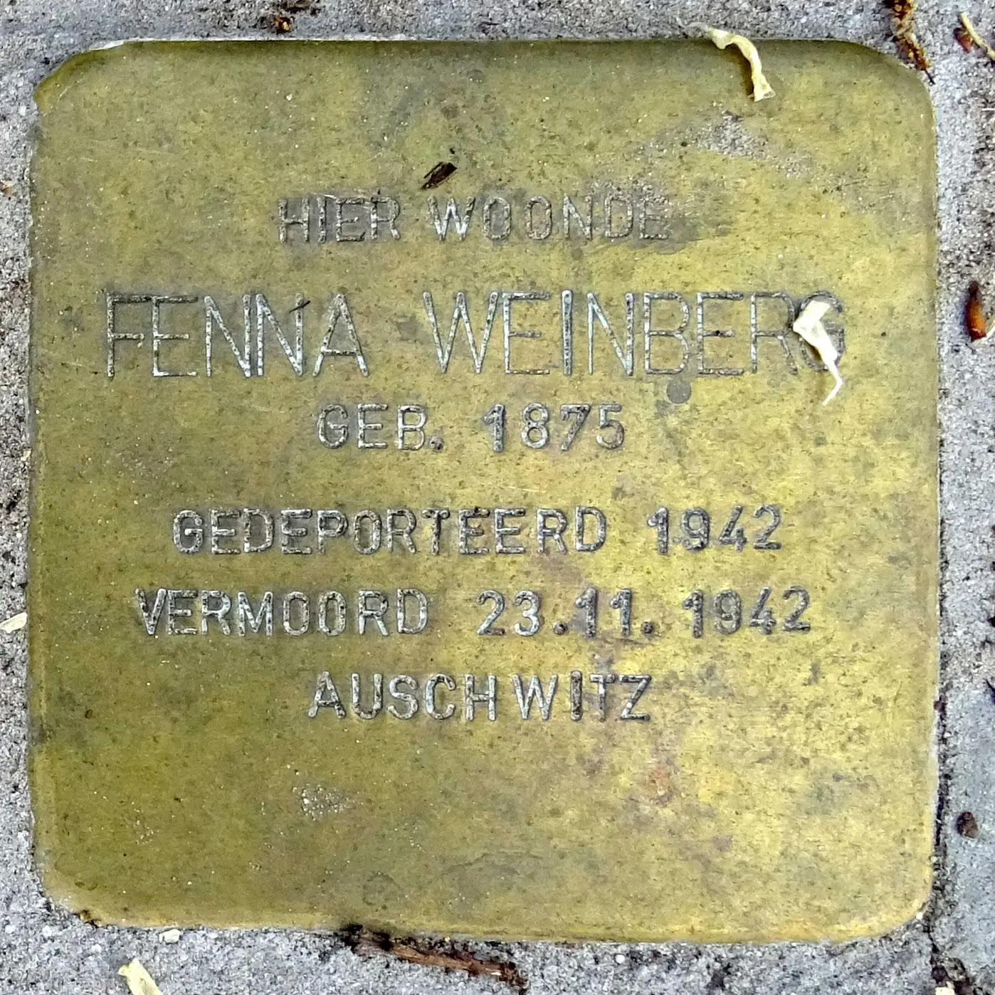 Struikelsteen voor Fenna Weinberg